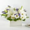 Beyond Blue Box Bouquet
Channeling calmness and serenity our Beyond Blue Box Bouquet