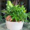 Ceramic keepsake container. It&#039;s a long-lasting gift that communicates your love and