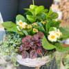 Bountiful planting of green and blooming plants.  Gorgeous gift for a