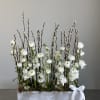 A serene and elegant floral arrangement showcasing white ranunculus and delicate stock
