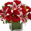 Roses and Lilies beauty combo express your thought of giving.