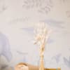 Bleached and preserved bunny tail. Dried product, doesn&#039;t need water! Great for