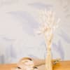 Bleached and preserved bunny tail. Dried product, doesn&#039;t need water! Great for