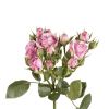 Cute as can be, 2 small lavender rose buds and filler flower