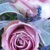 Cute as can be, 2 small lavender rose buds and filler flower