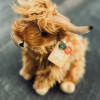 This soft, plush Highland Cow will brighten any cow lovers day! Pairs