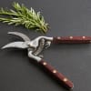 Snip basil leaves or clip some tulips with these Thai kitchen and