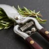 Snip basil leaves or clip some tulips with these Thai kitchen and