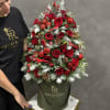 A lovely Christmas tree arrangement in our olive signature box with fresh