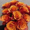 One dozen rose ( color may be different due to availabiltiy )