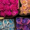 Choose from our luxurious tinted roses, available in stunning color options and