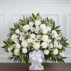There&rsquo;s a feeling of peace and tranquility that white flowers can bring
