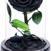 It symbolizes a beautiful love story and represents &quot;eternal love&quot;. Charming roses