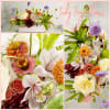 Send Mom this!  Botanical chic. That person in your life that