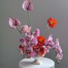 Blushing Orchid Garden - Blushing Orchid Garden, a captivating blend of luxurious
