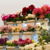 Join us this Mother&#039;s Day for an intimate workshop celebrating the special