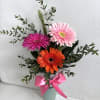 Brightly colored gerbera in vase