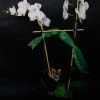 A white phalaenopsis orchid plant on a bamboo trellis.