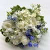 White mix with light blue accents!