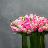 In a clear cylinder glass vase, a simple yet enchanting display unfolds.