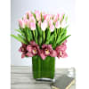 Share the ultimate serenity of 50 pristine light pink Dutch Tulips standing