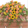 The colors of sunset are evident in this beautiful spray of Sunflowers