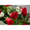 Love is forever cherished no matter that the loved one is departed.