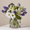 Combining the classic look of white accented with a deep blue /