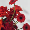 -A radiant mix of purple orchids, red painted leaves, bright Gerbera daisies