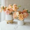 PEACH TONED ARRANGEMENT

**ARRANGEMENT NOT AVAILABLE FOR MOTHER&#039;S DAY WEEK**


A seasonal mix of