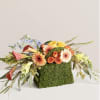 Everything about this arrangement is spectacular: the lush colors; the variety of