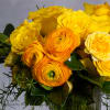 Citrus Burst&quot; offers a lively homage to the sun&#039;s golden embrace. Nestled