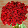 Out of this World!.... This eye-catching burst of brilliance and beauty features
