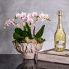 Delight in the exquisite beauty of our Orchid Splendor arrangement, featuring Phalaenopsis