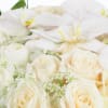 This elegantly designed composition has the promise of new beginnings and is