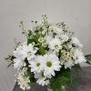 Introducing our Fresh as a Daisy arrangement, a breath of fresh air