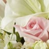 Wrap your recipient in love and warmth with this blooming bouquet