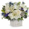 Sleek yet sweet! This stylish arrangement pairs a sculptural succulent with delicate