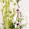 Experience tranquil elegance in this striking arrangement: white flowers mixed with graceful