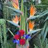 Tropical floral arrangement.
