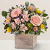 All-around beautiful arrangement with pink roses, mini Gerbera daisies, Matsumoto asters, and