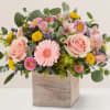 All-around beautiful arrangement with pink roses, mini Gerbera daisies, Matsumoto asters, and