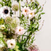 This arrangement is a breath of calm and quiet wonder. Blush-toned blooms
