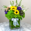 Feeling in the good mood for spring? Whether it&rsquo;s the season or
