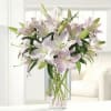 Beautfiul and elegant, this handcrafted bouquet features pink oriental lily stems with