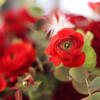 A cutting edge between chic and classic red hand tie Rose assorted