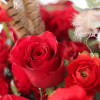 A cutting edge between chic and classic red hand tie Rose assorted
