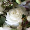 An elegant luxury arrangement with all precious ivory bloom, such as garden
