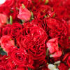 This French bouquet is the timeless, traditional, classic style for the one