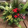 The &quot;Bright Life Plants Basket&quot; are a beautiful combination of green tropical